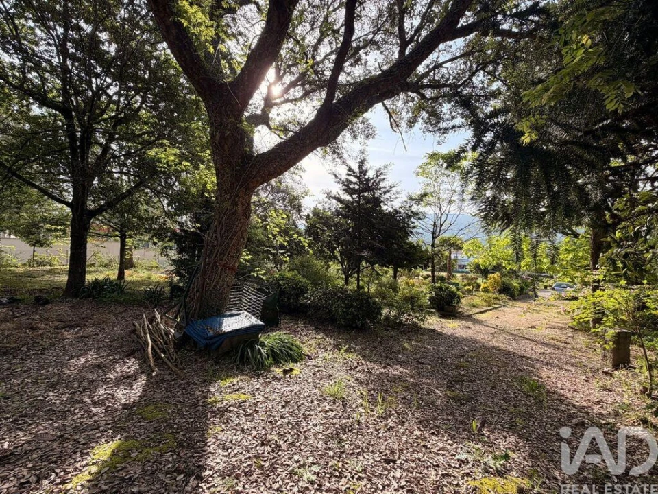 Terreno para Venda em Durrães e Tregosa Foto 8