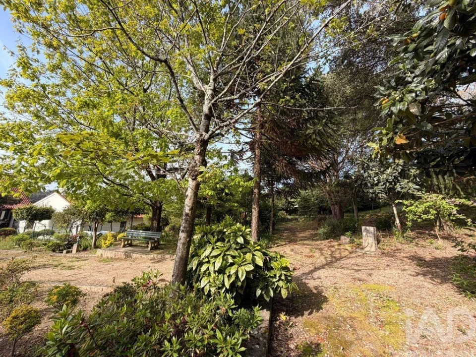 Terreno para Venda em Durrães e Tregosa Foto 6