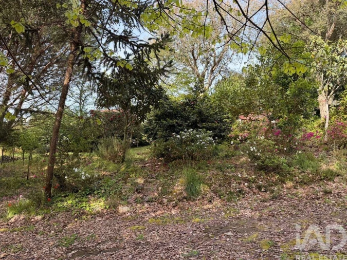 Terreno para Venda em Durrães e Tregosa Foto 10