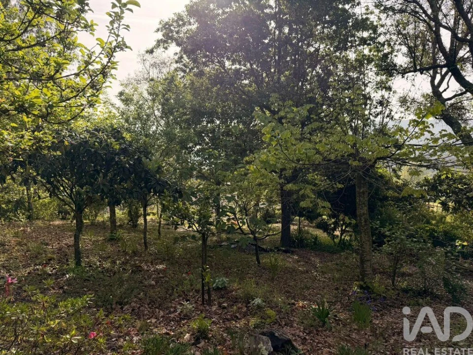 Terreno para Venda em Durrães e Tregosa Foto 7