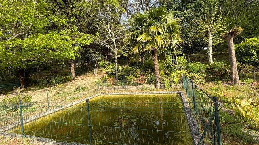 Terreno para Venda em Durrães e Tregosa
