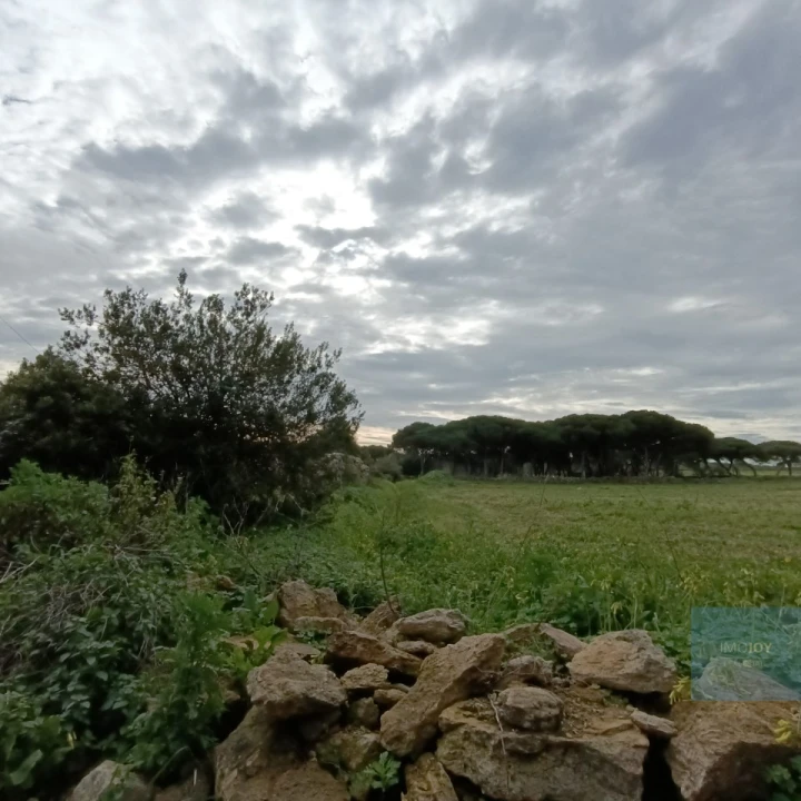 Terreno para Venda em São João das Lampas e Terrugem Foto 2