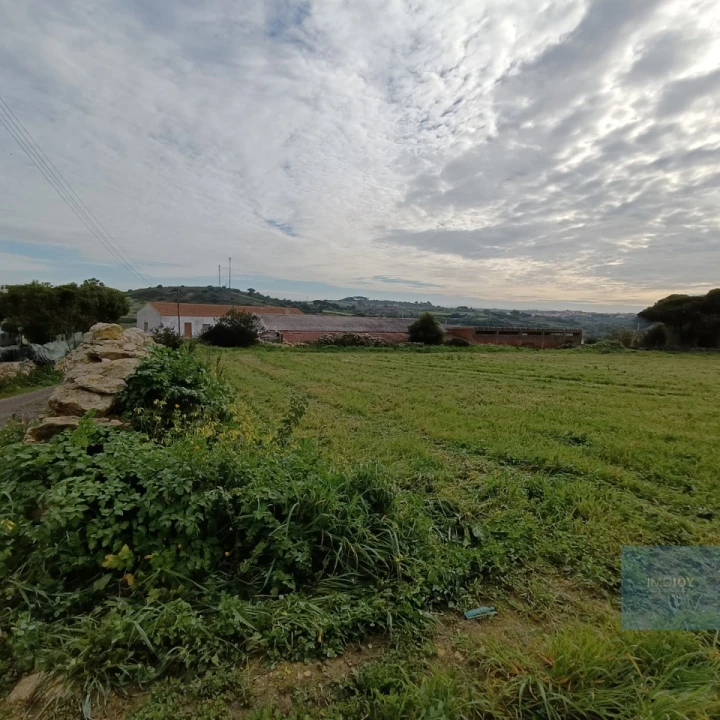 Terreno para Venda em São João das Lampas e Terrugem Foto 3