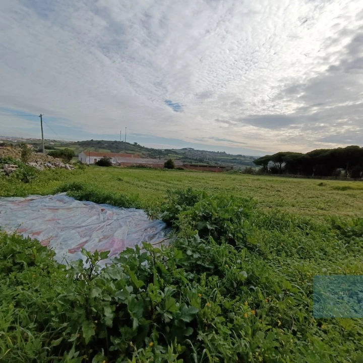 Terreno para Venda em São João das Lampas e Terrugem Foto 4