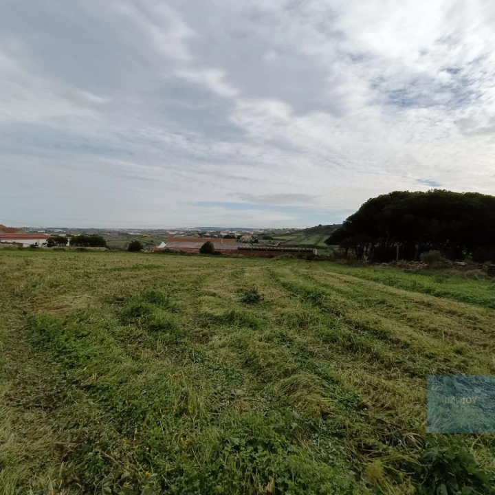Terreno para Venda em São João das Lampas e Terrugem Foto 7