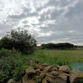 Terreno para Venda em São João das Lampas e Terrugem