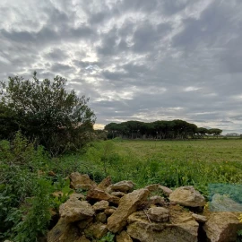 Terreno para Venda em São João das Lampas e Terrugem