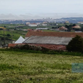 Terreno para Venda em São João das Lampas e Terrugem
