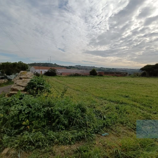 Terreno para Venda em São João das Lampas e Terrugem Foto 3