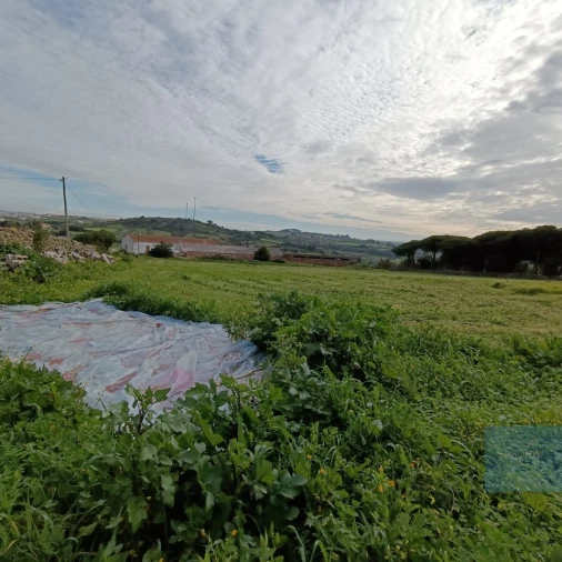 Terreno para Venda em São João das Lampas e Terrugem Foto 4