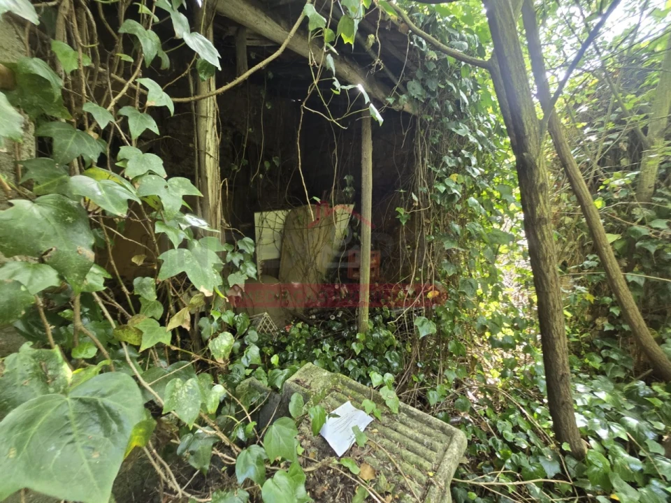 Moradia T3 para Venda em Arcos e Mogofores Foto 11