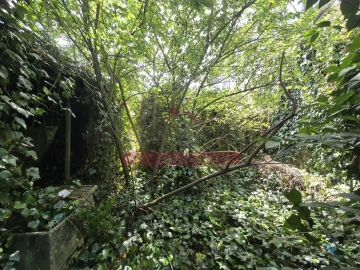 Moradia T3 para Venda em Arcos e Mogofores