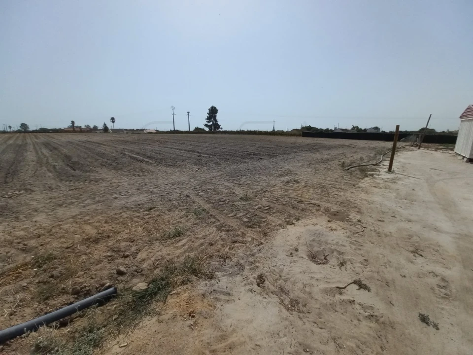 Terreno Agricola ou Rústico para Arrendamento em Poceirão e Marateca Foto 2