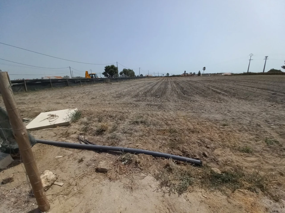 Terreno Agricola ou Rústico para Arrendamento em Poceirão e Marateca Foto 3