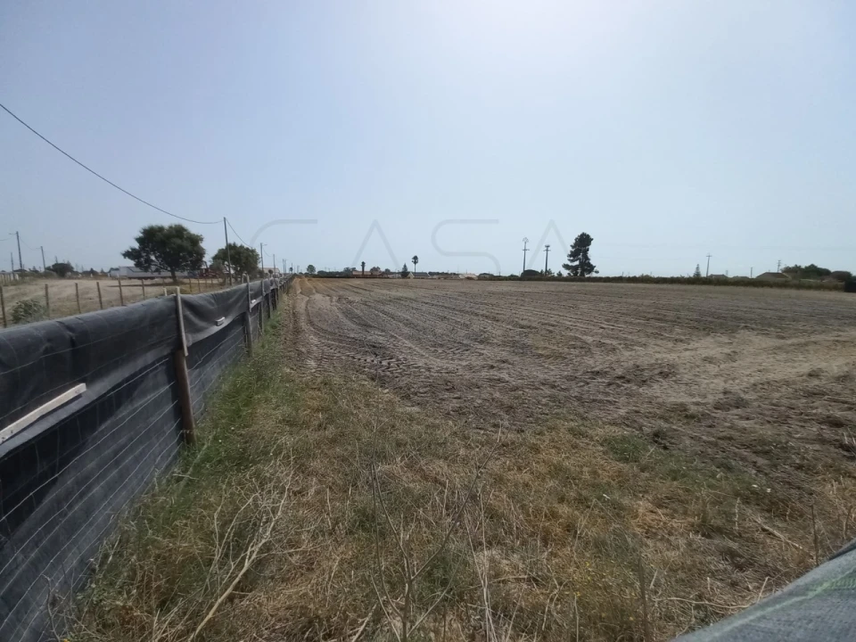Terreno Agricola ou Rústico para Arrendamento em Poceirão e Marateca Foto 8