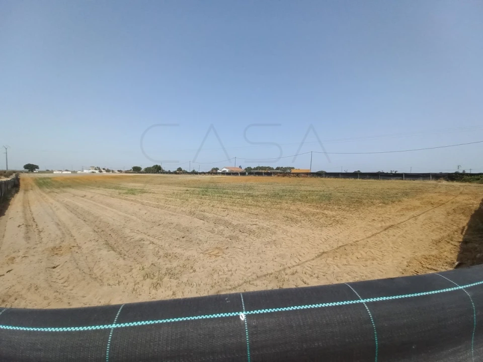 Terreno Agricola ou Rústico para Arrendamento em Poceirão e Marateca Foto 11