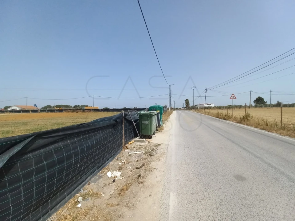 Terreno Agricola ou Rústico para Arrendamento em Poceirão e Marateca Foto 12