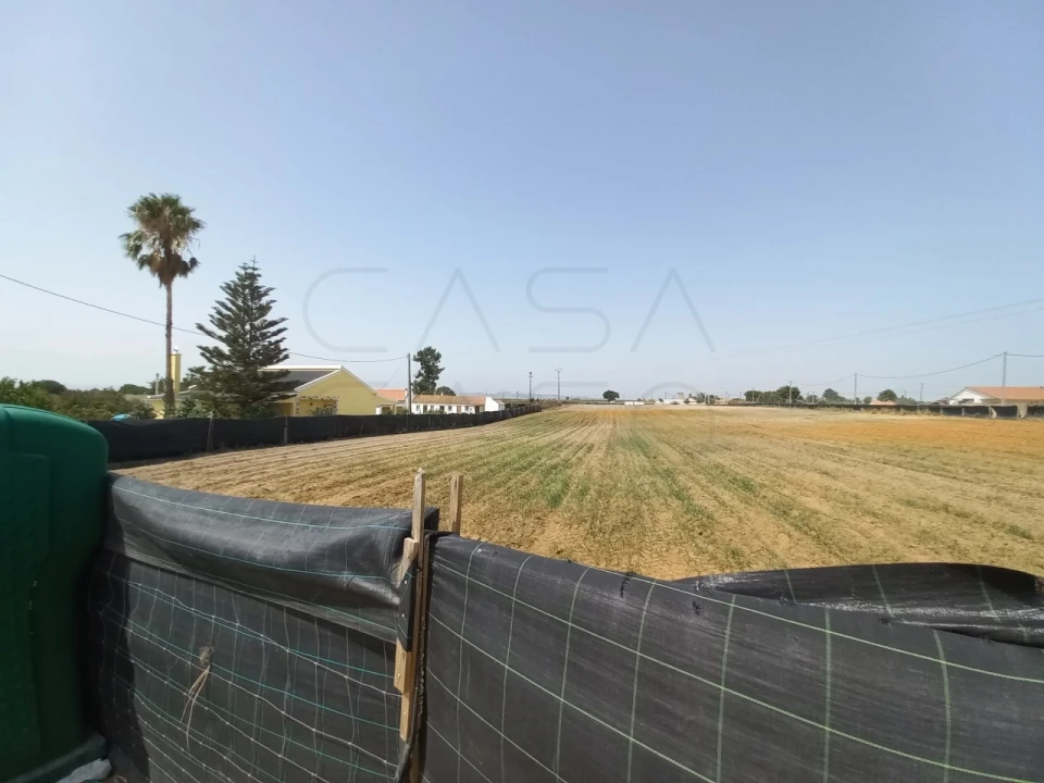 Terreno Agricola ou Rústico para Arrendamento em Poceirão e Marateca Foto 13