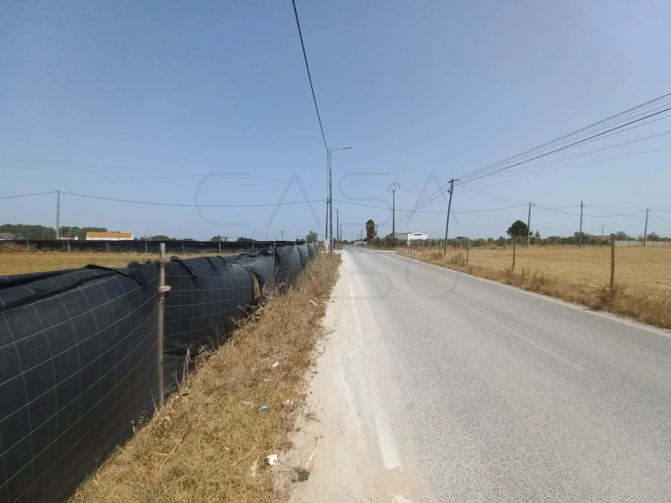 Terreno Agricola ou Rústico para Arrendamento em Poceirão e Marateca Foto 15