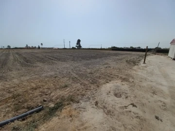 Terreno Agricola ou Rústico para Arrendamento em Poceirão e Marateca