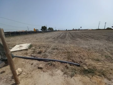 Terreno Agricola ou Rústico para Arrendamento em Poceirão e Marateca