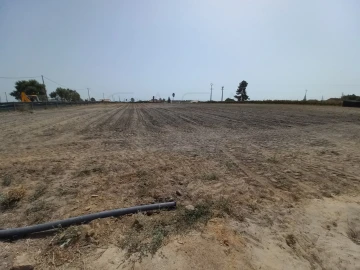 Terreno Agricola ou Rústico para Arrendamento em Poceirão e Marateca