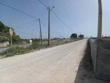 Terreno Agricola ou Rústico para Arrendamento em Poceirão e Marateca