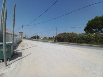 Terreno Agricola ou Rústico para Arrendamento em Poceirão e Marateca