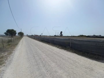 Terreno Agricola ou Rústico para Arrendamento em Poceirão e Marateca