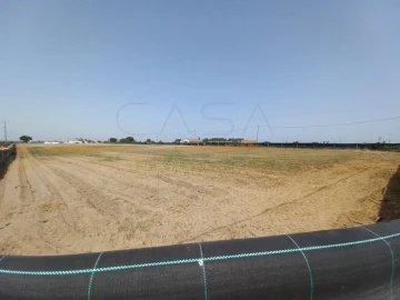 Terreno Agricola ou Rústico para Arrendamento em Poceirão e Marateca