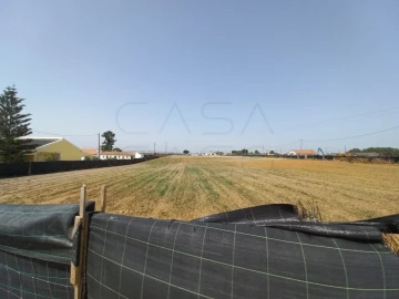 Terreno Agricola ou Rústico para Arrendamento em Poceirão e Marateca