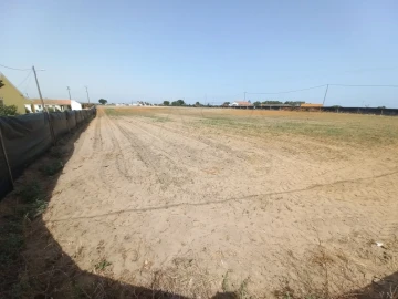 Terreno Agricola ou Rústico para Arrendamento em Poceirão e Marateca