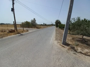 Terreno Agricola ou Rústico para Arrendamento em Poceirão e Marateca