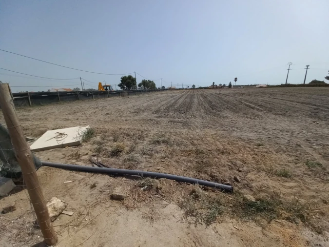 Terreno Agricola ou Rústico para Arrendamento em Poceirão e Marateca Foto 3
