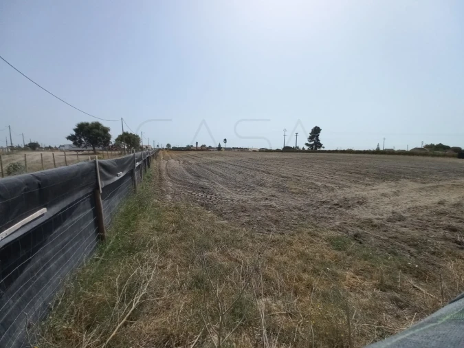 Terreno Agricola ou Rústico para Arrendamento em Poceirão e Marateca Foto 8
