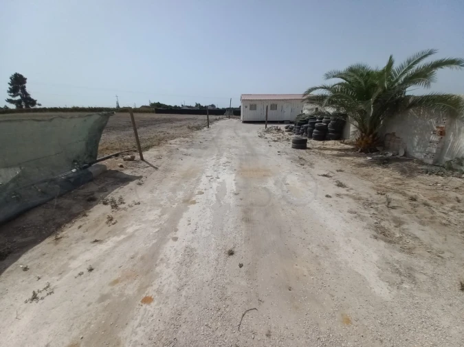 Terreno Agricola ou Rústico para Arrendamento em Poceirão e Marateca Foto 9