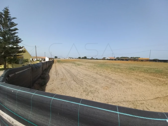 Terreno Agricola ou Rústico para Arrendamento em Poceirão e Marateca Foto 10