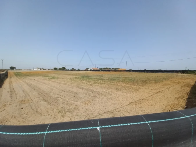 Terreno Agricola ou Rústico para Arrendamento em Poceirão e Marateca Foto 11