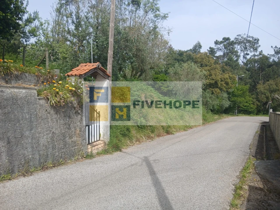 Terreno para Venda em Semide e Rio Vide Foto 1