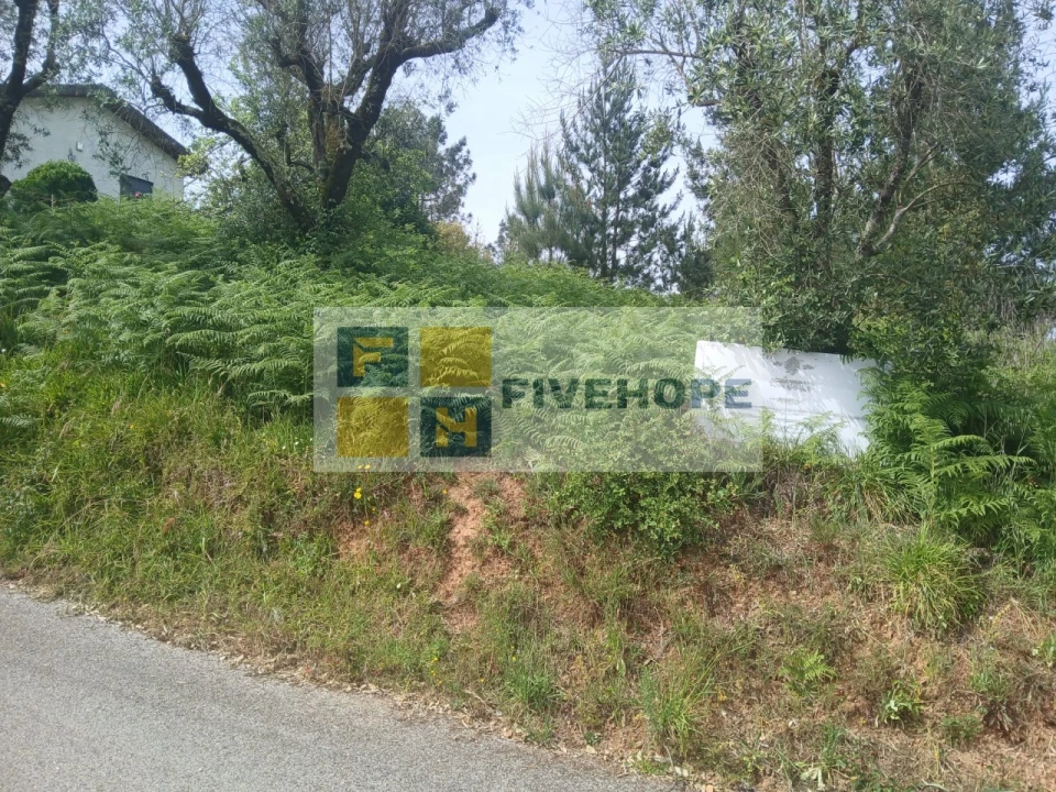 Terreno para Venda em Semide e Rio Vide Foto 4