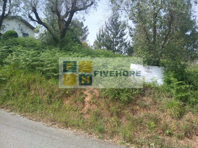 Terreno para Venda em Semide e Rio Vide Foto 4