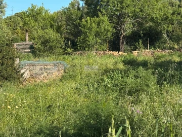 Terreno para Venda em Odiaxere