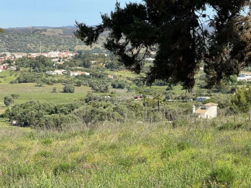 Terreno para Venda em Odiaxere
