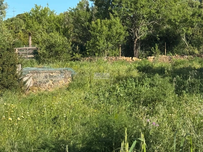 Terreno para Venda em Odiaxere Foto 2