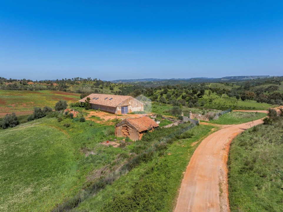 Quinta para Venda em Boavista dos Pinheiros Foto 33