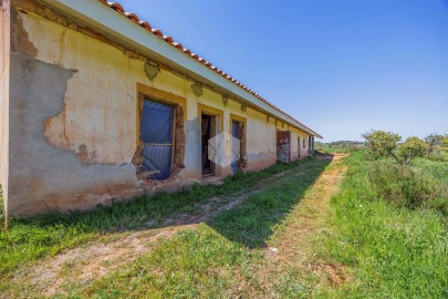 Quinta para Venda em Boavista dos Pinheiros