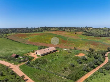 Quinta para Venda em Boavista dos Pinheiros