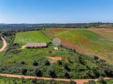 Quinta para Venda em Boavista dos Pinheiros