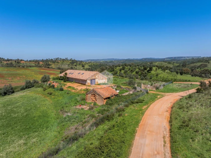 Quinta para Venda em Boavista dos Pinheiros Foto 33