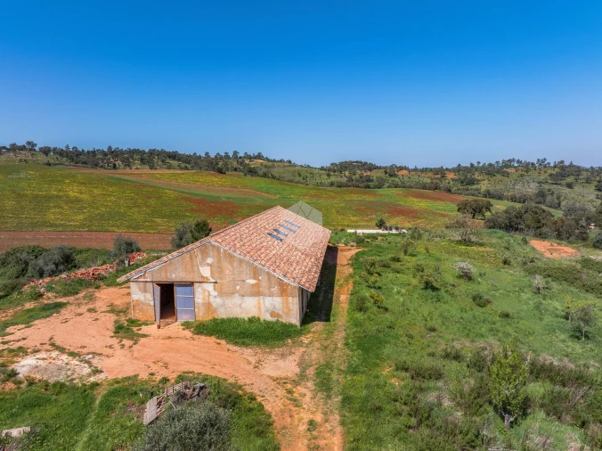 Quinta para Venda em Boavista dos Pinheiros Foto 21